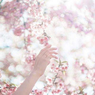 am8亚美ag旗舰厅官网手机app下载